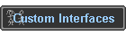 Custom Interfaces